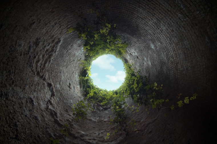 rabbit hole