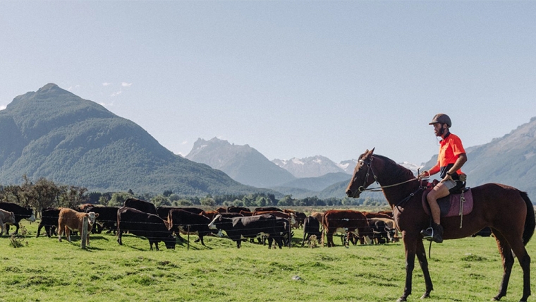 Ngai Tahu farm