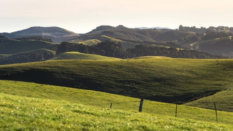 Hurunui District