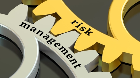 Risk management