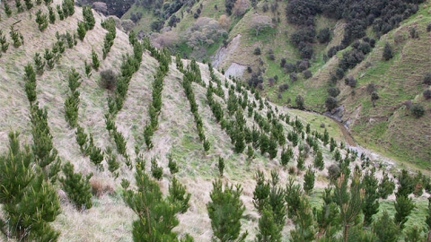 Carbon farming