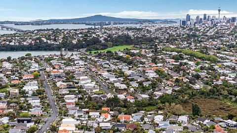 Auckland's inner city leafy suburbs