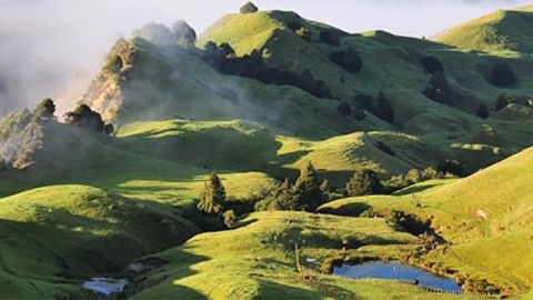 Grazing hill country