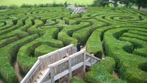 Maze