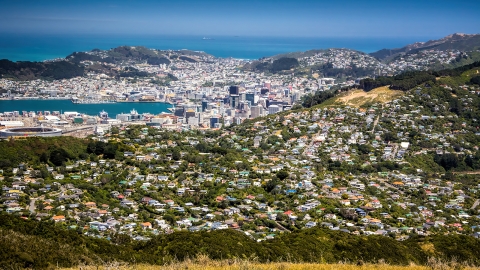 Wellington suburbs