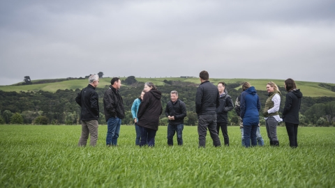 Farmers talking