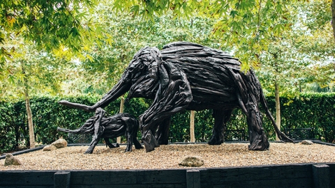 Exhibit at Sculptureum, Matakana, Auckland