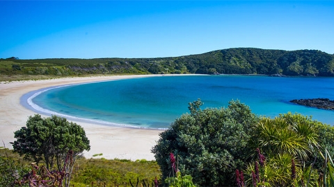 Maitai Bay, Northland