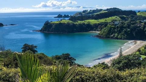 Palm Beach, Waiheke Island