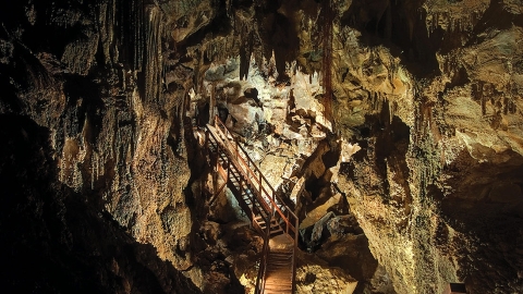 Ngarua Caves, Tākaka Hill, Tasman