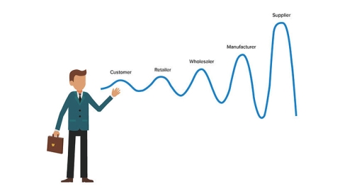 Bullwhip effect