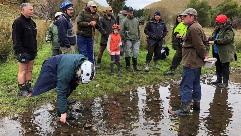 Catchment group in action