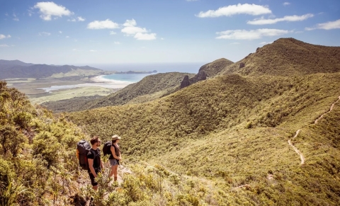 The Aotea Track, Great Barrier Island