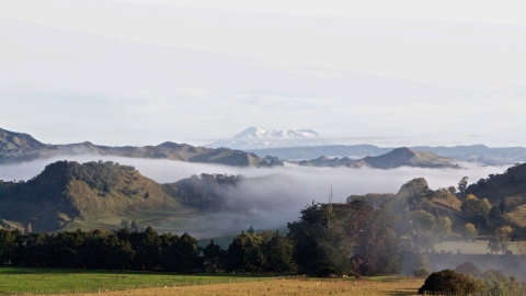 farm land in morning mist