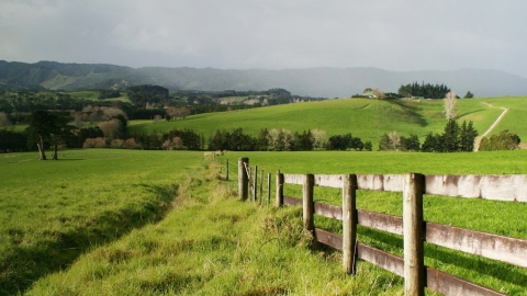 fence line