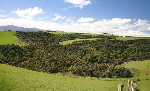 farm bush