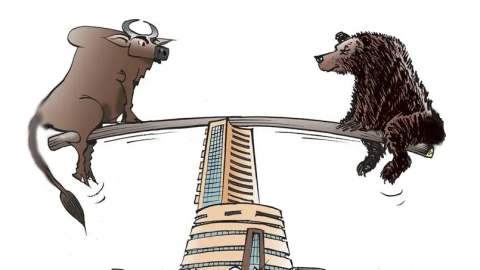 bull and bear