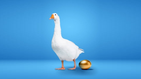Goose with gold egg