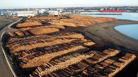 Log stacks at Chinese port