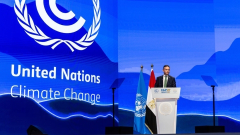 James Shaw at COP27