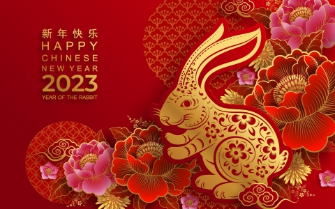 Chinese New Year 2023 Year of the Rabbit