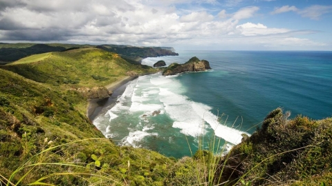 Te Henga Walkway, West Auckland