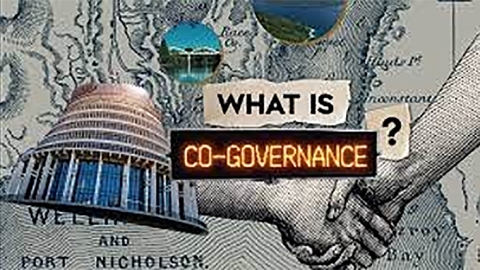 co-governance