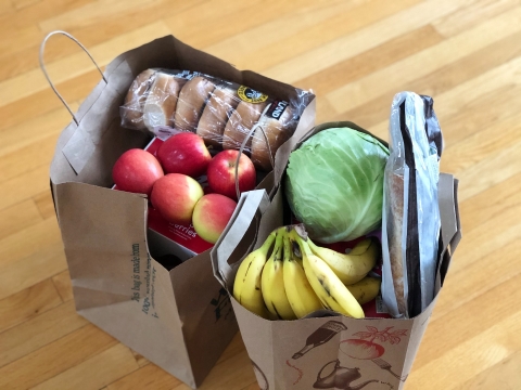 Photograph of groceries such as fruit and veges