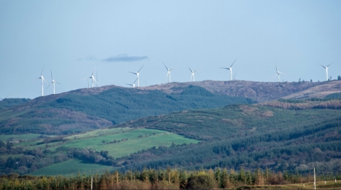 Win turbines above sheep farm