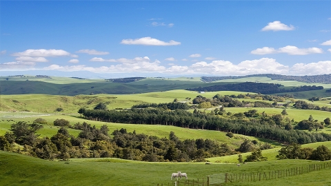 Farm forestry