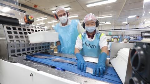 A female worker in fishing company Sealord's Nelson factory on the processing line.