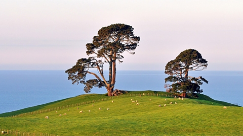 Papamoa Hills, Bay of Plenty