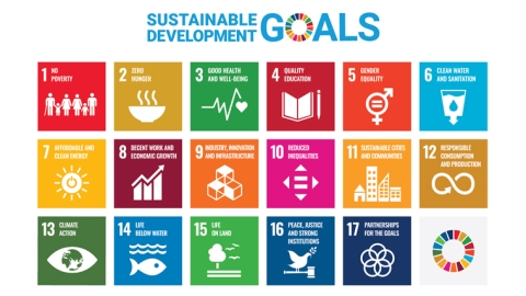 Sustainable Development Goals