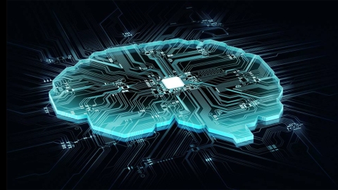 brain-shaped printed circuit board