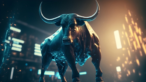 Market bull