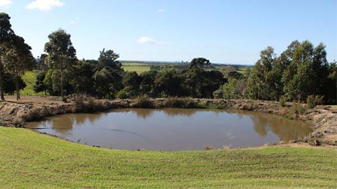 farm pond