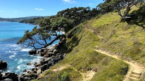 Waipu coastal walkway, Northland