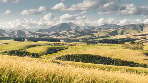 Canterbury foothills farm landscape