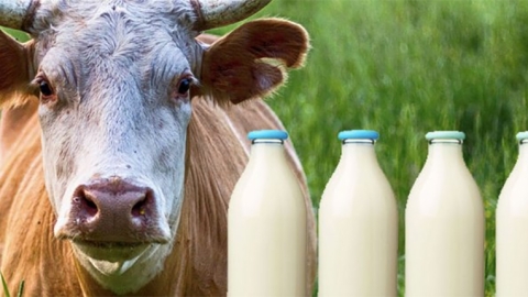 China milk bottles
