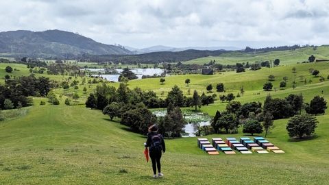 Gibbs Farm sculpture park on the Kaipara Harbour