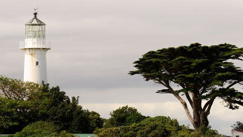 Tiritiri Matangi Island lighthouse