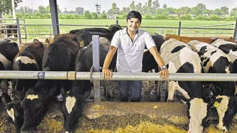 Indian dairy farmer
