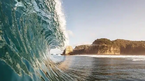 Kiwi surf