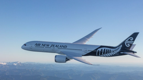 airnz-capraise4.png