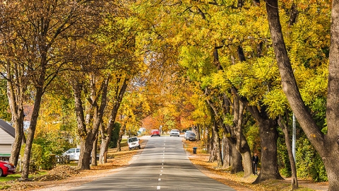 Arrowtown in Autumn