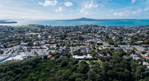 Auckland suburb density