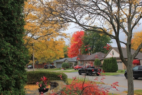 Autumn street scene