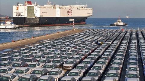 BYD exports