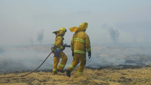 Firefighters in a smoky field 