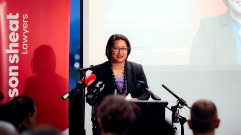 The Labour Party's Barbara Edmonds speaks to the Hutt Valley Chamber of Commerce in 2024